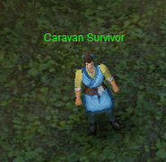 Caravan Survivor