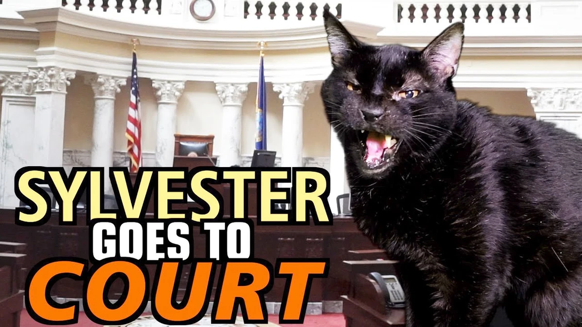 Talking Kitty Cat 69 - Sylvester Goes to Court | Talking Kitty Cat ...