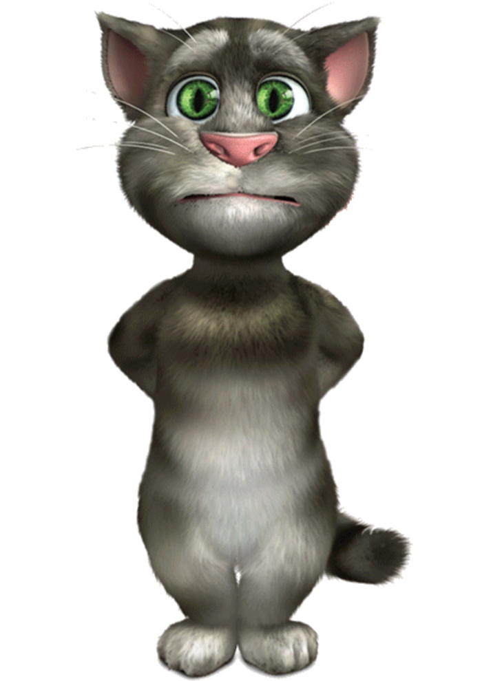 Talking Tom Cat 2010. Talking Tom.