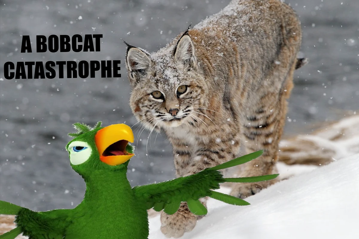 A Bobcat Catastrophe | Talking Tom and Friends Fanon Wiki | Fandom