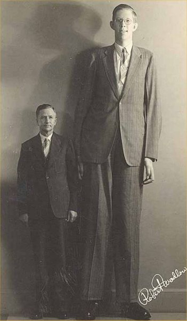 2nd tallest man in the world