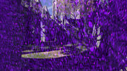 Exclusion field.jpg