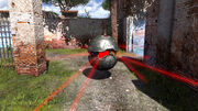 Striding the Beaten Path.jpg