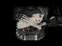 The Talos Principle Review Commentary