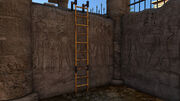 Ladder.jpg