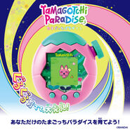 Promo for the Pink Land shell