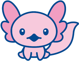 Image of Axolopatchi.