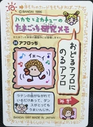 35.AfrotchiBack.jpeg (555 KB) Afrotchi (Back)