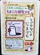 39.MoaitchiBack.jpeg (544 KB) Moaitchi (Back)