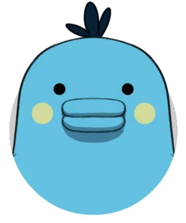 Image of Aopatchi.