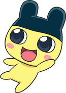 Mametchi 06