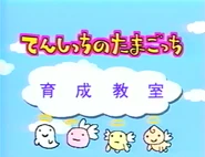 Appearance in Kind & Polite! Tenshitchi's Official Training