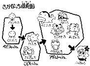 Growth chart from Found in the manga! Tamagotch