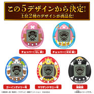 The five shells for the design vote.