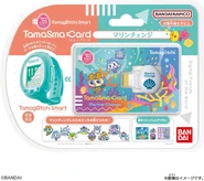 MarineChange5.jpg (204 KB) Packaging