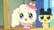 Coffretchi Mametchi viii