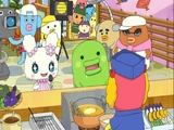 Pichipichi Island! Gotchi Battle