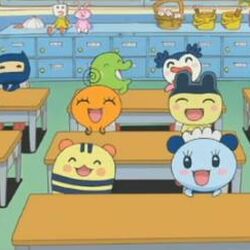 Anime lets and go full episode hot sale