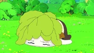 Weary and unhopeful