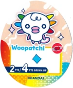 TC Woopatchi