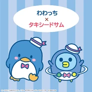 Sanrio Collab