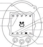 V1Diagram