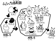 Character growth depiction from Found in the manga! Tamagotch.