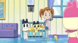 Tamagotchi Song Tamagotchi Wiki Fandom