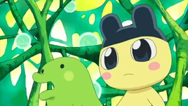 S2E41 MametchiKuchipatchiPlant