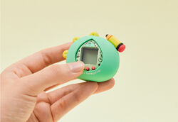Jordy x Tamagotchi | Tamagotchi Wiki | Fandom