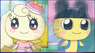 Coffretchi Mametchi iv