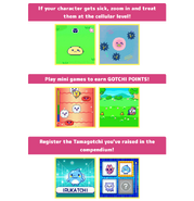 Cell level activities, minigames, and compendium
