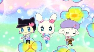 Rainbow clover episode