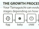 Tamagotchi Life Cycle