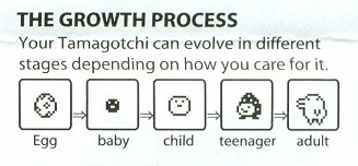 Life Cycle | Tamagotchi Wiki | Fandom