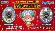 The winning shell designs