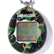 P1R ABAPE Green.jpg (96 KB) Green shell