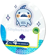 TC Shykutchi