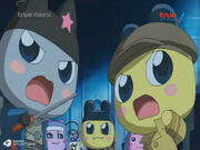 Two of Mametchi (Episode 105)