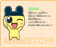 Mametchi profile