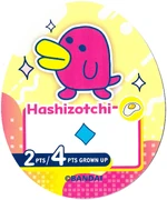 TC Hashizotchi