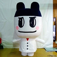 Official mascot costume