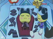 Three of Mametchi