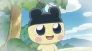 Young Mametchi
