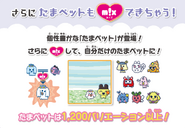 Image showing the addition of Tama Pets