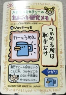 36.JockeytchiBack.jpeg (548 KB) Jockeytchi (Back)