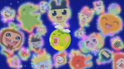 Gotchis.png