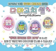 All of the Korean version's shells