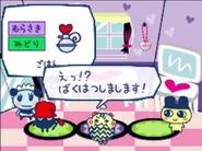 Shimashimatchi's stripes turning into zig zags when Angry (Corner Shop 3)