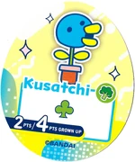 TC Kusatchi